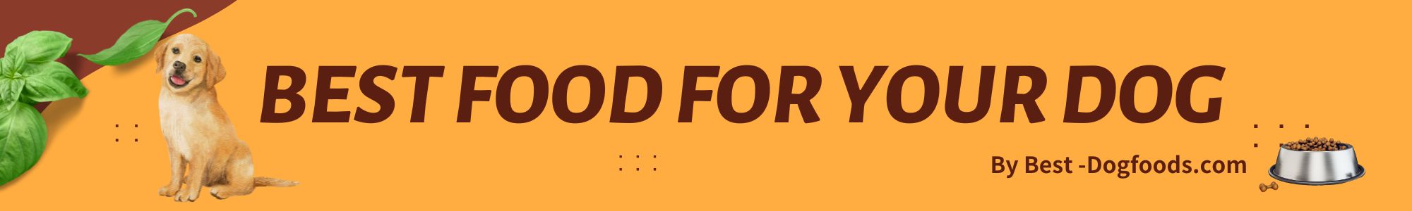 Best-Dog Foods.com: Top-Rated Brands for Healthy Canines